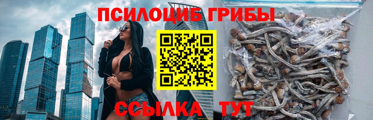 Псилоцибиновые грибы Cubensis  Вход с VPN  Учалы 